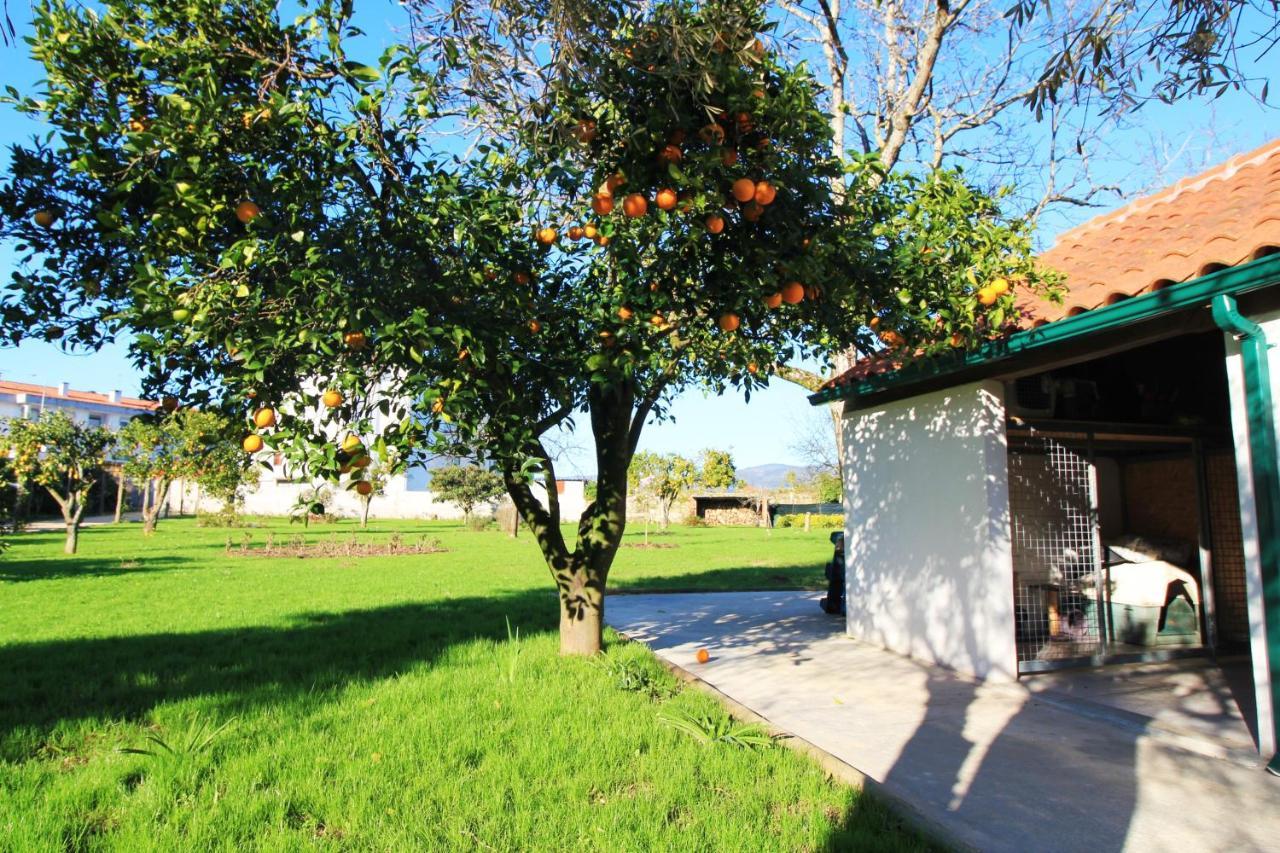Casa Dos Ouricos Villa Ponte de Lima Exterior photo